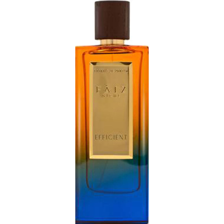 Premium Collection - Efficient